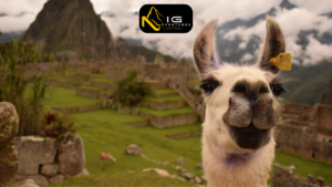 Machupicchu closed 1 Nicg adventures