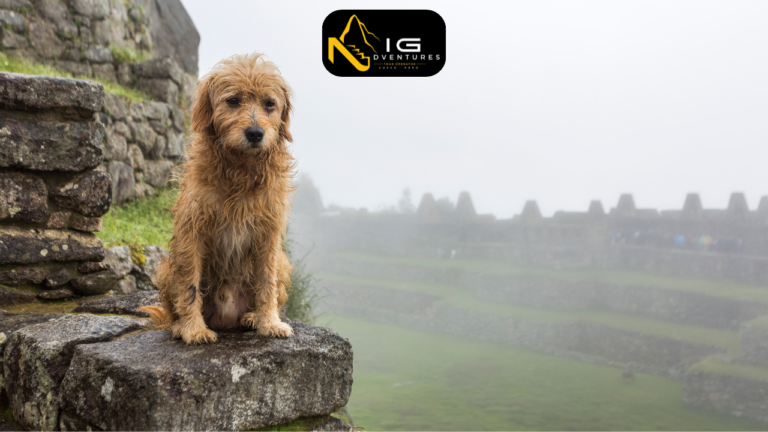 Machupicchu closed 3 Nicg adventures